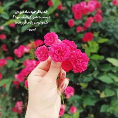دانلود آهنگ قلب من عاشق توئه عاشق نگات