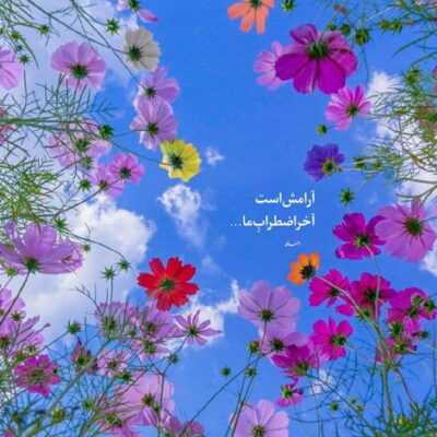 دانلود آهنگ  دلو به دریا زدم که غم هات بشه کم آخه عاشقتم