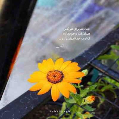 دانلود آهنگ بزار تو بغلت این تن جنگی رو من خوابش کنم