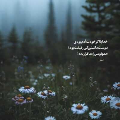 دانلود آهنگ یه دل دارم که ناقابله  دوست دارم خدا شاهده