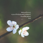 دانلود آهنگ واسه خنده ی زیبات با همه دنیا می جنگم فرهاد انصاری دانلود آهنگ واسه خنده ی زیبات با همه دنیا می جنگم فرهاد انصاری