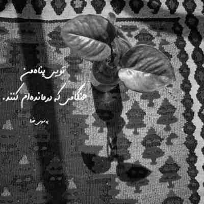 دانلود آهنگ من رقصیدم تو هر سازی زدی