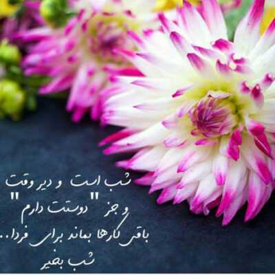 دانلود آهنگ به پول باباش فقط مینازه دندون لمینت و لباش بوتاکسه دهن من بوی پیازه 