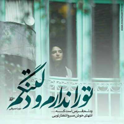 دانلود آهنگ  نمی دونم چی شد کجا رفت این دختره دیدمش از اون دورا داشتم می رفتم 