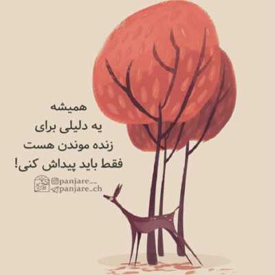 دانلود آهنگ خانوم یه پیشنهاد سیم خاردار بکش تو دور وبرت ورجوورجه میکنی و میترسم که بدزدنت