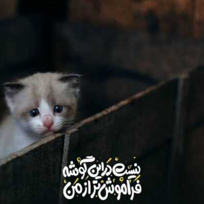 دانلود آهنگ  جون سر کار خودین  همه دخترخاله طوری ان شلوارا پاره اینا کولی ان 