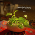 دانلود آهنگ ول کردی دستامو رفتی چرا نبینم بشن ابری چشات دانلود آهنگ ول کردی دستامو رفتی چرا نبینم بشن ابری چشات