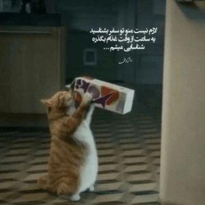 دانلود آهنگ هوایه دلم مثله شهرم شده فقط گردو خاکه که مونده براش دانیال هندیانی