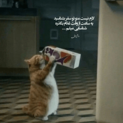 دانلود آهنگ هوایه دلم مثله شهرم شده فقط گردو خاکه که مونده براش