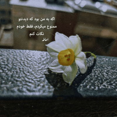دانلود آهنگ ازت برو بیشتر از این دروغ نگو برو میبخمشت