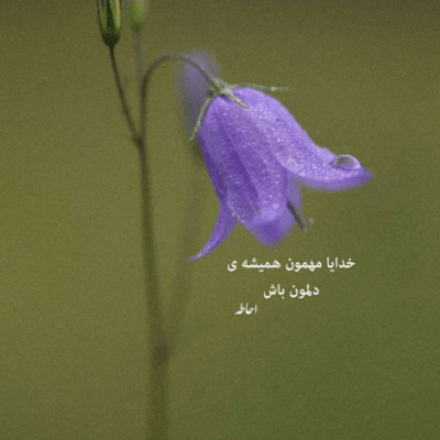 دانلود آهنگ عکسو سکوتشون اهای تو که کنار اون 