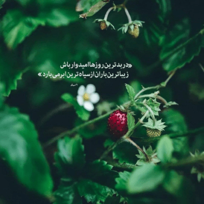 دانلود آهنگ دو سه باری یه سه بار حبسو  خدافظ دردا