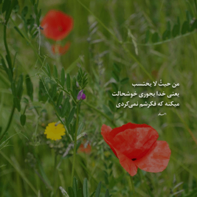 دانلود آهنگ یه اتاق با تو میده یه حس خوب نرو نرو لعنتی 