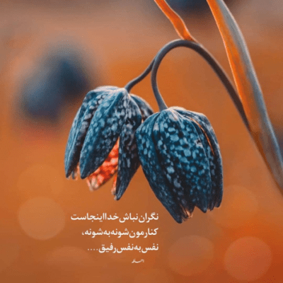 دانلود آهنگ نیمه چیه همه گمشدمی خنده های منه غدو نبین
