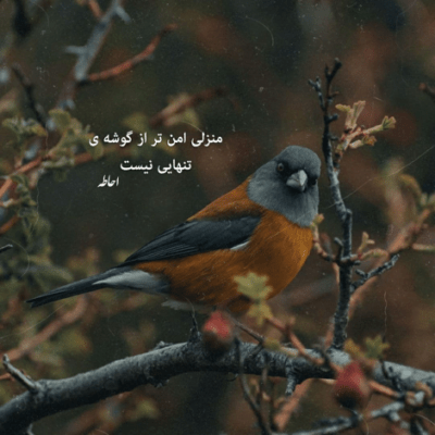 دانلود آهنگ کجا میبره این باد منو ته شب خواب سبک روی آب