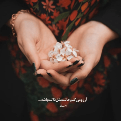 دانلود آهنگ توو این جنگل شیر و ببر منم موش و خرگوش تو