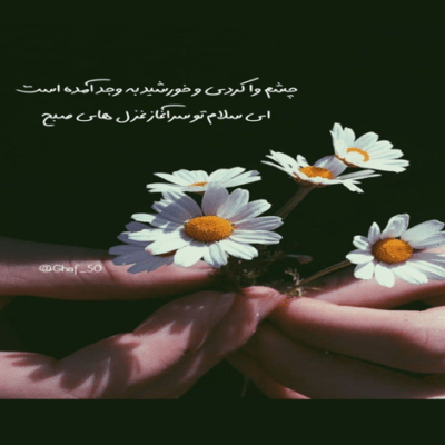 دانلود آهنگ شاخ شده با شاه هم شام نمیخوره رک دیگه با ما ام حال نمیکنه