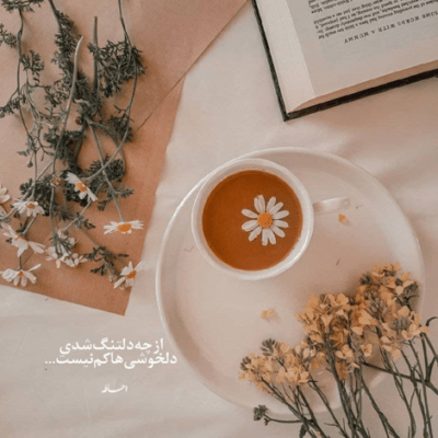 دانلود آهنگ یک و نیم میگم بیاد پونصد الان نیلو میگه کین یوزپلنگا
