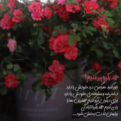 دانلود آهنگ هممون پریم از اون فرشته هایی که بالا شهر می رن فقط