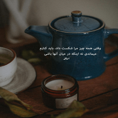 دانلود آهنگ هه هه اهم خب خوش آمدید به باغ وحش  لطفا به پرنده ها غذا ندهید