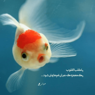 دانلود آهنگ تو عشق روزای بچگیمی بدون تنها دلیل زندگیمی