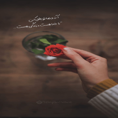 دانلود آهنگ تو که نیستی ببینی کی پیشمه  همون هولایی که سیریشمه