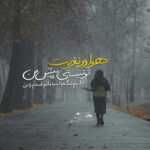 دانلود آهنگ دلمو تیکه هاشو تو بذار سره جاش دلتو بده جونمو میدم در ازاش تو نرو علی نواب