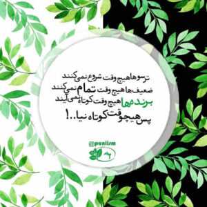 دانلود آهنگ دل به دل راه داره از چشمامون میباره هر دو آره توی هفت آسمون مجتبی دربیدی