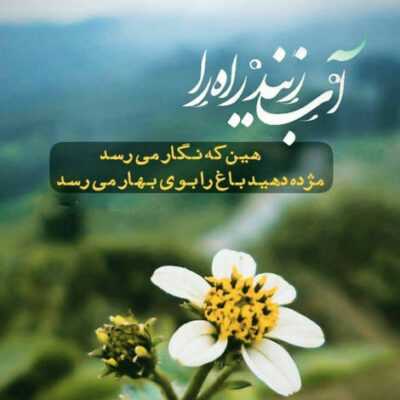 دانلود آهنگ یه روح ما دوتا دل تنگیم من و تو یه عکس دوتایی قشنگیم من و تو یا دور شه یا کور بشه 