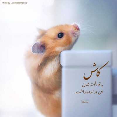 دانلود آهنگ قلب منی قلب منی تو کی میخوای درک کنی به سمت این دیوونه کاش 