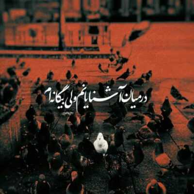 دانلود آهنگ تا وابستت شدم تو گذاشتی رفتی فهمیدی دوست دارم باهام بازی کردی