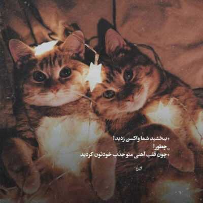 دانلود آهنگ  بدون همیشه و هنوز یه دردی از تو با منه قلبم به محض رفتنت مرد و دیگه نمیزنه