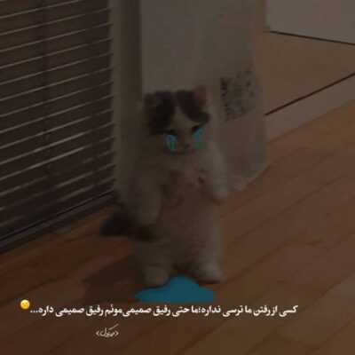 دانلود آهنگ  فقط ناز کنی و ناز کنی محو تو باشم بیاد باد موهاتو باز کنی محو تو باشم