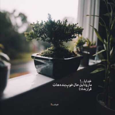 دانلود آهنگ گل اندام گل اندام ای یار گل اندام عجب دلبر مه رویی شدی جان گل اندام