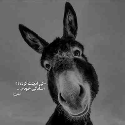 دانلود آهنگ جاش مونده رو تنم هر دعوایی بوده