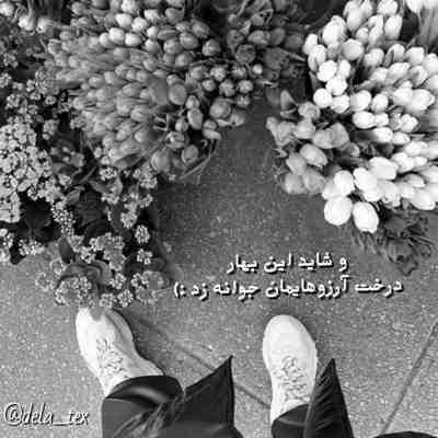 دانلود آهنگ میخواستم تموم شه این ماجرا