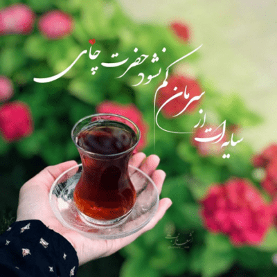 دانلود آهنگ بگی نگی کارام از رو بچگیمه عشقت زندگیمه حتی نصفه نیمه
