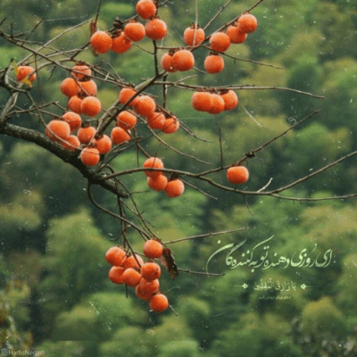 دانلود آهنگ دیگه نمیشیم یه آدم عادی تلقی  شمشیرارو از رو بستیم میزنیم علنی