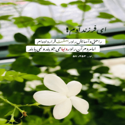 دانلود آهنگ قبل از دو رو شدن راهتو دور کن ازم