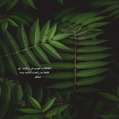 دانلود آهنگ جذاب بمون امشب فقط حرف نزن بقیش دردسر نیست 