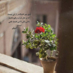 دانلود آهنگ پرسه میزنم تو خیابونا سرمو میگیرم بالا رو به خدا مسعود صادقلو دانلود آهنگ پرسه میزنم تو خیابونا سرمو میگیرم بالا رو به خدا مسعود صادقلو