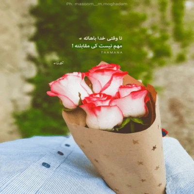 دانلود آهنگ میخواهمت به رسم رفیقان مدعی در حلقه وفای تو این نیز بگذرد