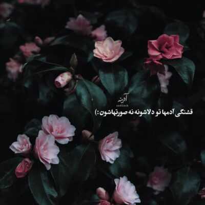 دانلود آهنگ امشب خوشحالی مثله قبل  امشب منو دیوونه کرد