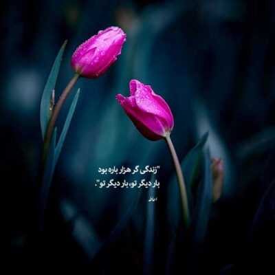 دانلود آهنگ لااقل بمون یه کاری کن  به ظاهر بی قراری کن  آبرو داری کن نرو