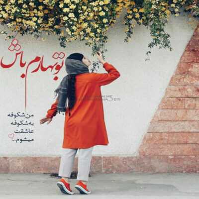 دانلود آهنگ آخ مو دلم ریشه کو این کجا رفت زید مونو ندیدی مو میخوام کینگ بشم