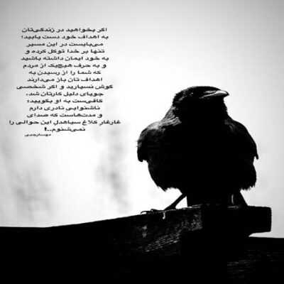 دانلود آهنگ بیا نزدیک نزدیکتر عشق من تاج سر عشق من از همه بهتر عشق من