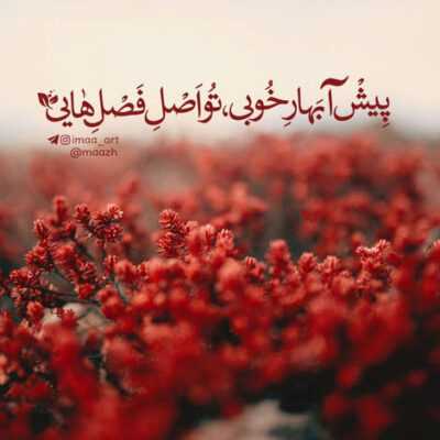 دانلود آهنگ بیا یه بارم که شده باور کن بیا منو عشق اول و آخر کن بذار آروم بگیره