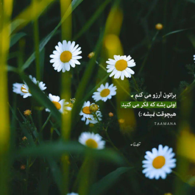 دانلود آهنگ دل من سیاس ولی آبی رو خیلی دوست دارم