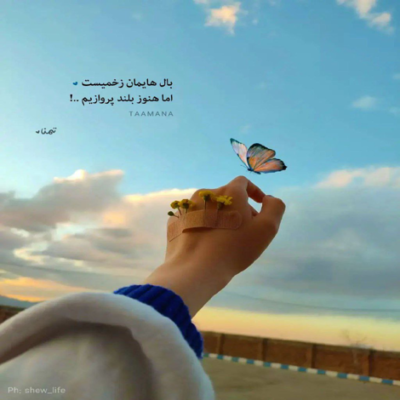 دانلود آهنگ شعله نکش سوسو نزن بزار خاموشت کنم