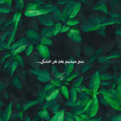 دانلود آهنگ از این گریه چه می دونی نه دردمی نه درمونی